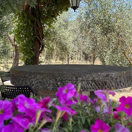 Casale Antico Sobborgo *